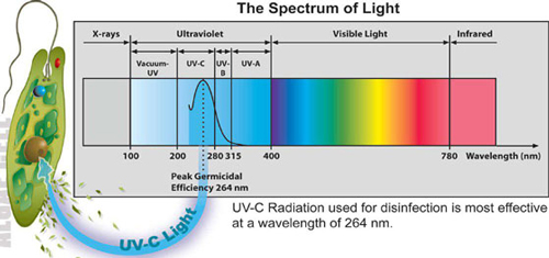 ضدعفونی کننده UV