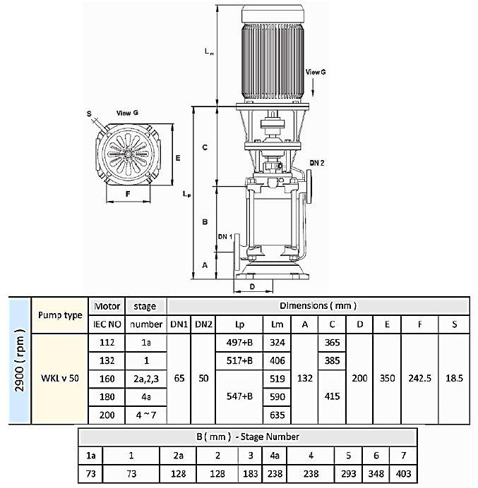 پمپ طبقاتی عمودی سمنان انرژی مدل WKLV-2a با موتور 2900 دور