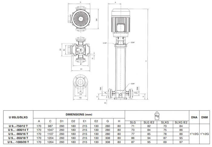 پمپ آب پنتاکس طبقاتی عمودی مدل U 9 SLG-800-14T