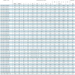 پمپ سیرکولاتور خطی لوارا FCE 50-125/15