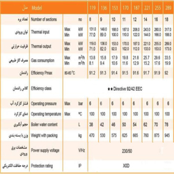 دیگ چدنی فرولی پگاسوس مدل F3N-119 2S