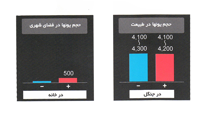 یون منفی دستگاه تصفیه هوا