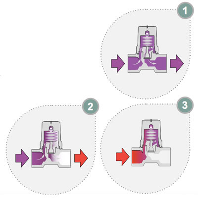 Bimetallic Steam Traps