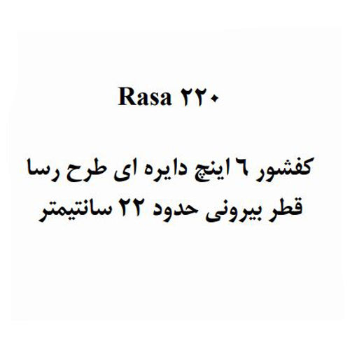 کفشور استخر آکوامارین مدل رسا 220