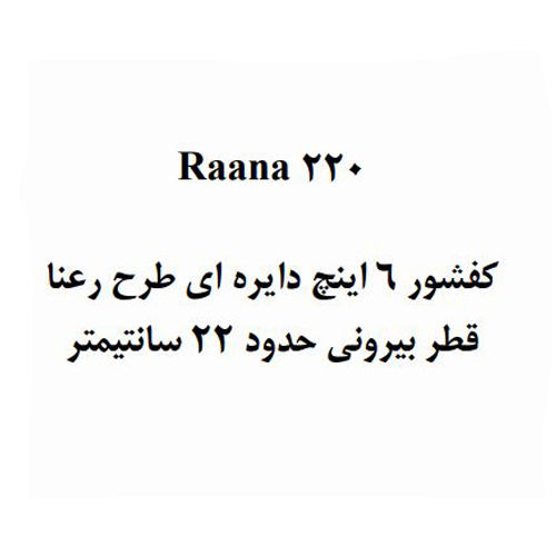 کفشور استخر آکوامارین مدل رعنا 220