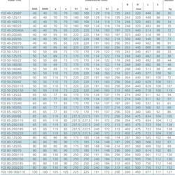 پمپ سیرکولاتور خطی لوارا FCE 50-160/40
