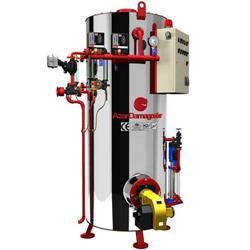 دیگ بخار سونا بخار آذر دما گستر ایستاده CS.ADS100