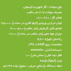 هیتر گازی نیک گستر مدل RG-H660