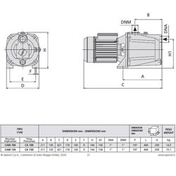 پمپ آب جتی اسپرونی مدل CAM 100/N