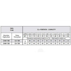 پمپ آب جتی اسپرونی مدل CAM 100/N
