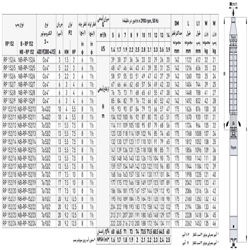 پمپ شناور رایان مدل RP 152