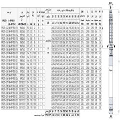 پمپ شناور رایان مدل RP 293-1/24