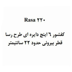 کفشور استخر آکوامارین مدل رسا 220