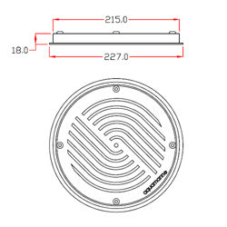 کفشور استخر آکوامارین مدل رسا 220