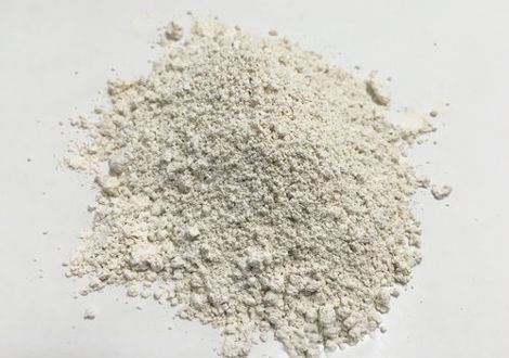 خاک دیاتومه چیست؟